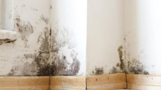 Musim Hujan Rawan Banjir? Ini 7 Tips Menyelamatkan Tembok Rumah dari Jamur dan Lembap