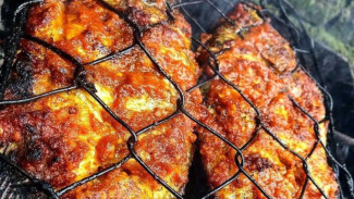 Rahasia Bumbu Ikan Bakar agar Meresap Sampai ke Daging, Bikin Rasa Lebih Nendang!