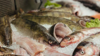 6 Jenis Ikan yang Cocok untuk Dibakar dan Tidak Mudah Hancur, Wajib Tahu Sebelum Masak!