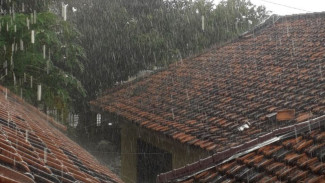 Jangan Biarkan Atap Bocor Merusak Rumahmu! Coba 5 Cara Cepat Ini Saat Hujan Tiba