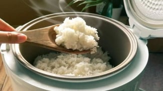 5 Tips Ampuh agar Nasi Tetap Pulen dan Tahan Lama di Magic Jar, Gak Cepat Kuning atau Kering!