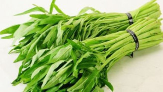 5 Tips Menyimpan Sayur Kangkung agar Tetap Segar dan Tidak Layu hingga Berhari-Hari