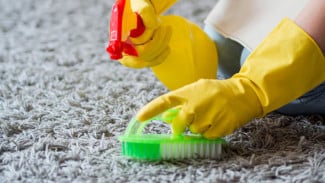 7 Tips Efektif Membersihkan Karpet Tanpa Vacuum Cleaner, Tetap Bersih dan Wangi