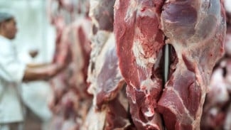 Cegah Bau Anyir di Kulkas, Ini 8 Trik Menyimpan Daging Kurban yang Jarang Diketahui
