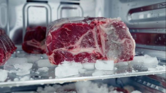 Freezer atau Kulkas, Mana yang Bikin Daging Kurban Lebih Awet dan Segar?