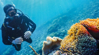 Lupakan Speargun! Warga Raja Ampat Buktikan Bisa Tangkap Ikan dan Gurita dengan Tangan Kosong