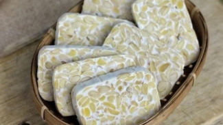 Begini Cara Bikin Tempe Sendiri di Rumah agar Tidak Cepat Asam dan Tetap Padat