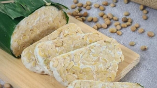 Cara Mengolah Tempe Beku agar Tidak Hancur dan Tetap Enak Saat Dimasak