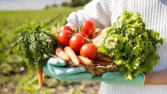 6 Tips Urban Gardening di Lahan Sempit, Solusi Cerdas Bertanam di Tengah Kota