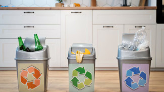 6 Tips Jitu agar Semut Tidak Lagi Mengganggu Tempat Sampah di Area Dapur