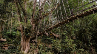 Bikin Merinding! Wisata ke Baduy Siap-siap Lewati Jembatan Akar Misterius Ini
