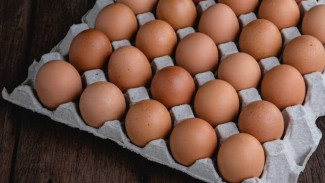 Sering Pilih Telur Besar? Hati-Hati, Bisa Jadi Malah Rugi!