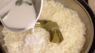Masak Nasi Jangan Asal, Coba 5 Cara Ini agar Lebih Sehat dan Aman untuk Diet