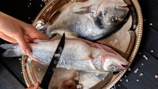 5 Cara Menghilangkan Bau Amis pada Ikan sebelum Dimasak, Dijamin Lebih Segar dan Lezat!