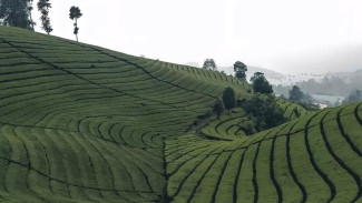 10 Destinasi Liburan Anti-Mainstream di Bandung untuk Libur Sekolah Anak