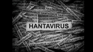 Mirip Flu Tapi Bisa Mematikan! Ini Gejala Awal Terinfeksi Hantavirus