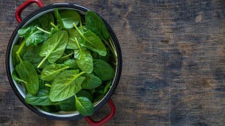 Meski Sehat, Terlalu Banyak Makan Bayam, Bisa Bahaya? Ini Dampak Kesehatannya yang Perlu Diwaspadai