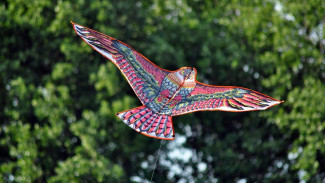 Tiket Gratis! Catat Jadwal Festival Layang-layang Yogyakarta 2025