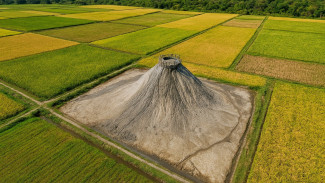 Viral! Ada Gunung Volcano Muncul di Tengah Sawah di Grobogan