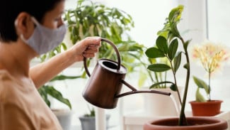 Bukan Cuma Disiram, Ini 5 Kesalahan Perawatan Tanaman Hias yang Sering Tidak Disadari