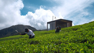 7 Rekomendasi Hotel Cabin Affordable, Sensasi Nginap di Alam yang Asri