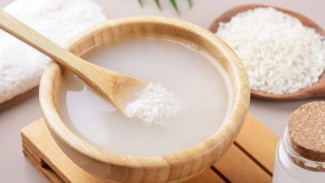 5 Manfaat Air Cucian Beras untuk Tanaman Hias, Murah tapi Kaya Nutrisi