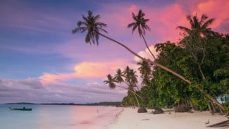 5 Tanaman Tahan Abrasi untuk Melindungi Pesisir dari Ancaman Ombak Laut, Dari Mangrove hingga Nipah