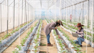 13 Green Jobs yang Bakal Banjir Cuan di 2030, Nomor 5 Banyak Dicari