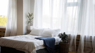 5 Manfaat Tak Terduga Punya Tanaman Hias di Kamar Tidur