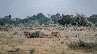 15 Tempat Wisata di Jawa Timur yang Suasananya Kayak di Luar Negeri