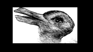 Dari Gambar Bebek atau Kelinci yang Kamu Lihat Ini, Bisa Bongkar Cara Otakmu Bekerja