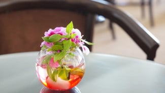 7 Tanaman Hias Cantik yang Tumbuh Subur Hanya dengan Air Tanpa Tanah