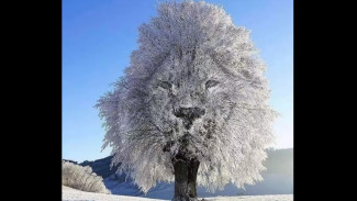 Tes Ilusi Optik Ini Ungkap Sifat Aslimu Saat Menjalin Hubungan, Berani Coba?