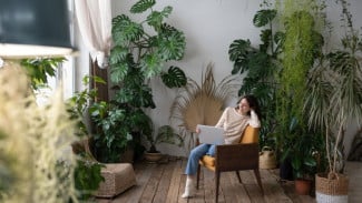 10 Tanaman Hias Penyerap Panas, Rahasia Rumah Sejuk Alami Tanpa AC
