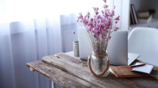 5 Rekomendasi Tanaman Hias di Meja Kerja Tambah Esterika, Pikiran Tenang dan Produktivitas Naik