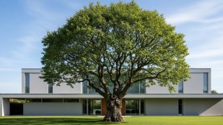 7 Pohon yang Akarnya Gak Merusak Bangunan, Bikin Rumah Makin Teduh