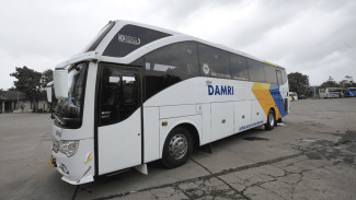Promo Buy 1 Get 1 Tiket Damri Spesial Kemerdekaan, Ini Rute dan Syaratnya
