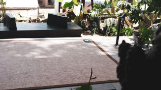 Rumah atau Kantor Sudah Lengkap Furniturnya, Tapi Kok Terasa Kurang Hidup?