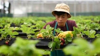 10 Freelance Ramah Lingkungan dengan Bayaran Menggiurkan, Cocok Buat Gen Z