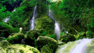 Ada Oase Tersembunyi di Yogyakarta, Suasananya Asri Banget!