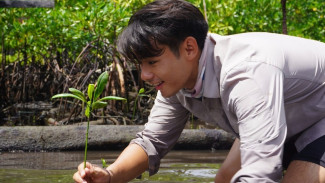 Manfaat Kembali ke Alam: Hilangkan Stres dan Kembalikan Produktivitas