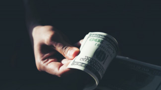 Modal Sertifikat Keahlian! 3 Pekerjaan Freelance Bergaji Dolar, Minat?