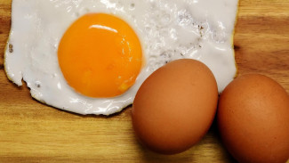 Telur Ayam Negeri vs Omega: Mana yang Lebih Bergizi untuk Anak?