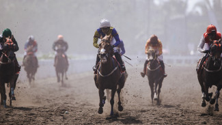 4 Fakta Indonesia’s Horse Racing-Merdeka Cup 2025, Laga Pacuan Kuda Berlatar Panorama Laut Pangandaran