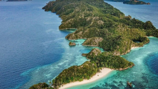 Pemandangan Bawah Laut di Misool Eco Resort, Rasakan Sensasi Surga Dunia