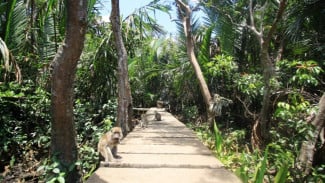 5 Wisata Hidden Gem di Banjarmasin yang Belum Terjamah, Jadi Keindahan Tersembunyi