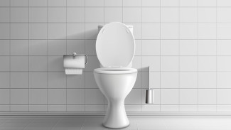 Tips Mengatasi WC Mampet dengan Cepat 3 Bahan Ajaib yang Ada di Rumah