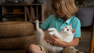 8 Hal yang Boleh dan Tidak Boleh Dilakukan Anak Bersama Kucing Peliharaan