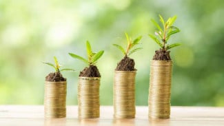 10 Jenis Investasi Hijau yang Bisa Dicoba, Pilihan Untung Sekaligus Ramah Lingkungan