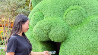 Lucunya Bikin Sadar Lingkungan! Kucing Raksasa Pengumpul Botol Plastik Ini Jadi Simbol Daur Ulang Modern